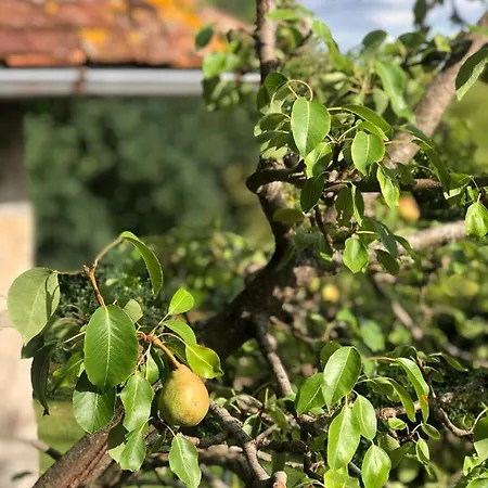 La Pommeraie Champsecret, Lower Normandy Panzió Champsecret