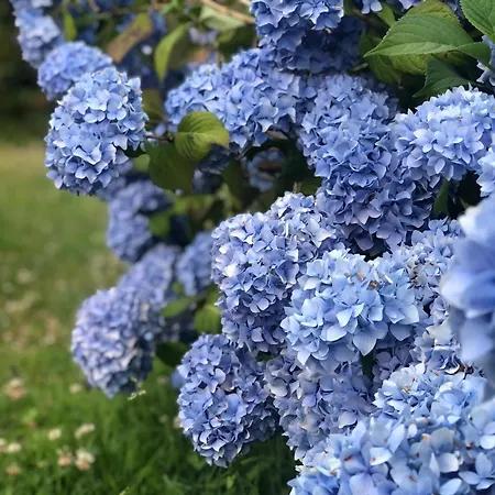 La Pommeraie Champsecret, Lower Normandy Panzió