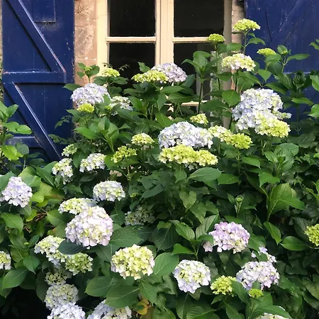 La Pommeraie Bed & Breakfast Champsecret