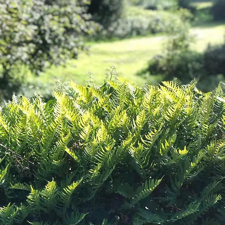 La Pommeraie
