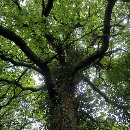 La Pommeraie Champsecret, Lower Normandy