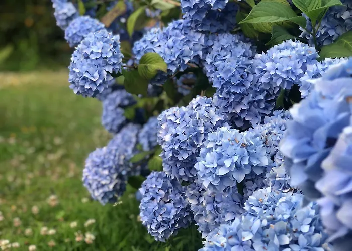 La Pommeraie Champsecret, Lower Normandy ベッド・アンド・ブレックファスト