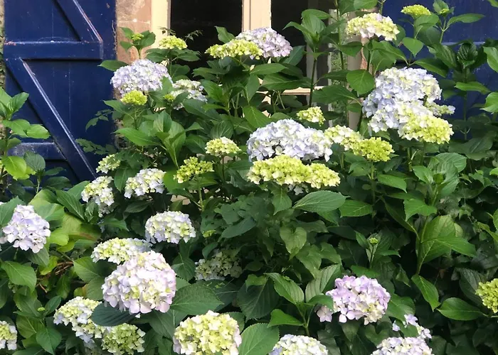 La Pommeraie Champsecret, Lower Normandy ベッド・アンド・ブレックファスト Champsecret