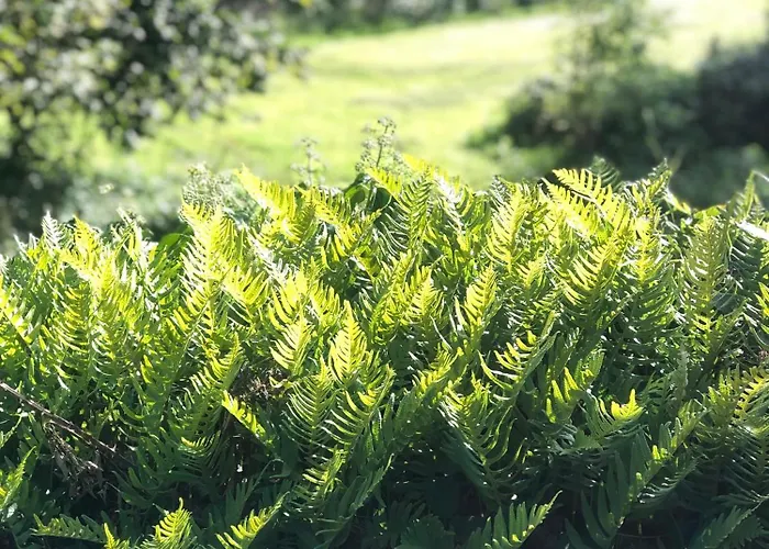 La Pommeraie Champsecret, Lower Normandy
