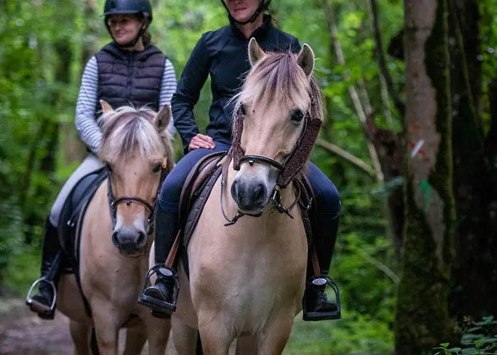 ベッド・アンド・ブレックファスト La Pommeraie Champsecret, Lower Normandy 4*