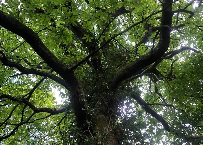 La Pommeraie Champsecret, Lower Normandy